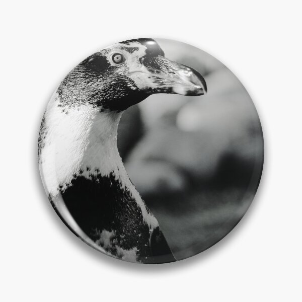 Item preview, Humboldt penguin nature beauty black and white designed and sold by eddiebarronshop.