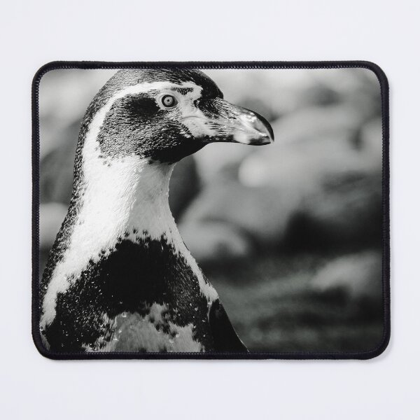 Item preview, Humboldt penguin nature beauty black and white designed and sold by eddiebarronshop.