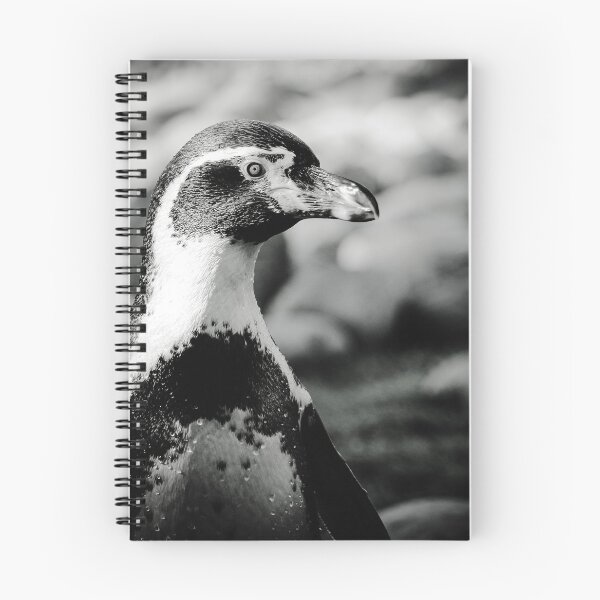 Item preview, Humboldt penguin nature beauty black and white designed and sold by eddiebarronshop.