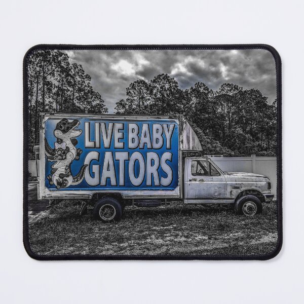 Item preview, Florida designed and sold by goldstreet.