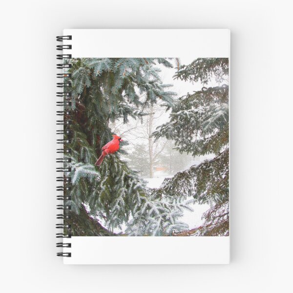 Item preview, Red Cardinal in Winter Scene designed and sold by Robert Daveant.