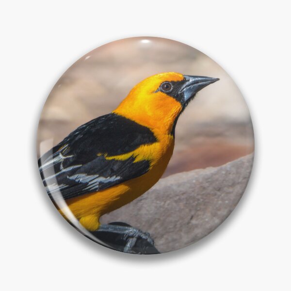 Item preview, Colorful Altamira Oriole Adult designed and sold by Debra Martz.