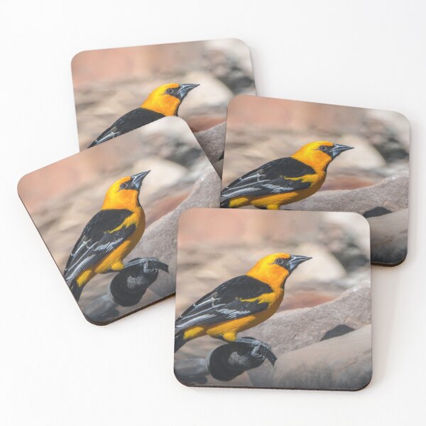 Item preview, Colorful Altamira Oriole Adult designed and sold by Debra Martz.