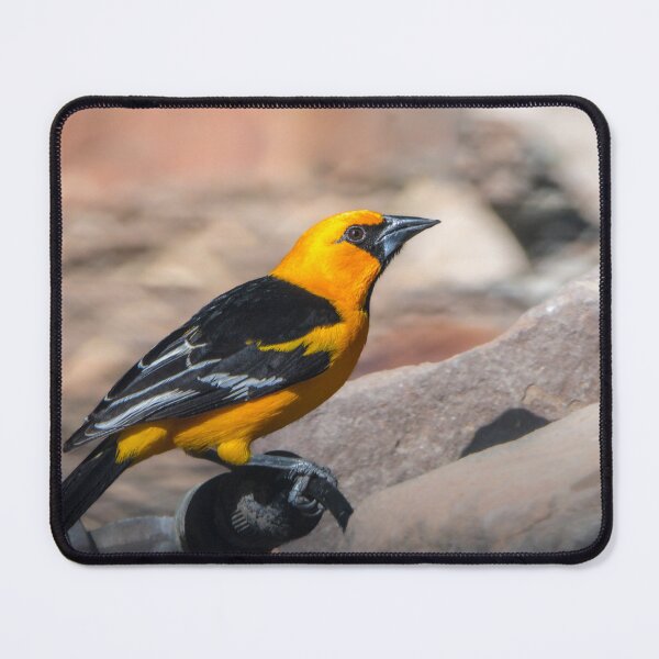 Item preview, Colorful Altamira Oriole Adult designed and sold by Debra Martz.