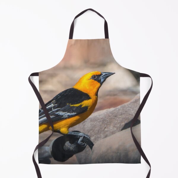 Artikelvorschau, Bunter Altamira Oriole Adult entworfen und verkauft von Debra Martz.