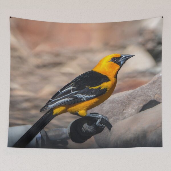 Item preview, Colorful Altamira Oriole Adult designed and sold by Debra Martz.