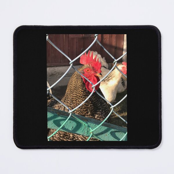 Item preview, Cock Fight Prison designed and sold by AgnesMBrae.
