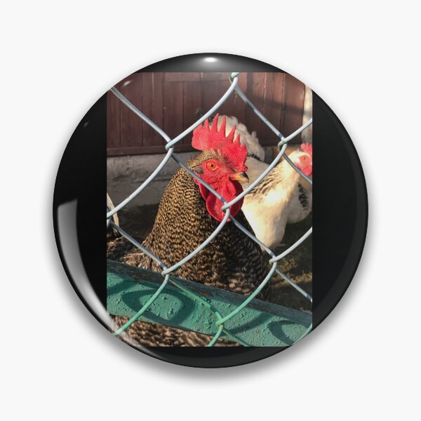 Item preview, Cock Fight Prison designed and sold by AgnesMBrae.