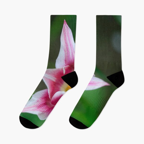 Item preview, Violet tulip on nature background designed and sold by olena2552.