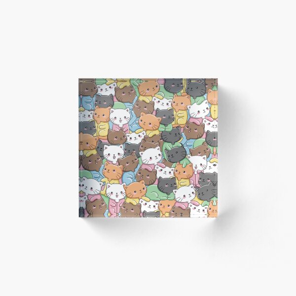 Acrylic Block
