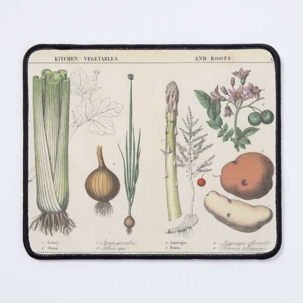 Item preview, Vintage Kitchen Vegetables designed and sold by newnouveau.