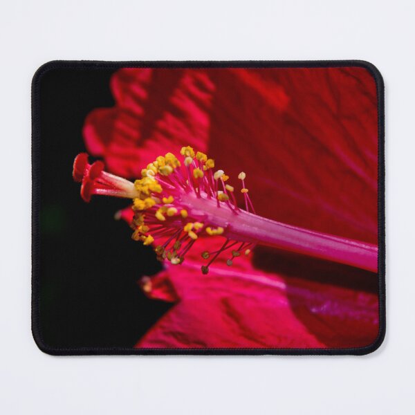Item preview, Hibiscus Detail designed and sold by alabca.
