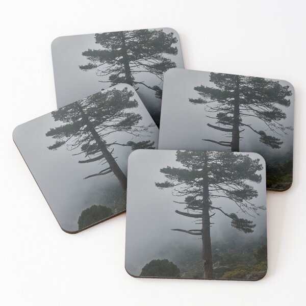 Item preview, cedar tree designed and sold by davidbengraf.