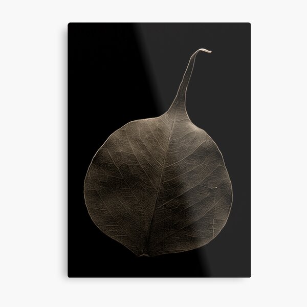 Item preview, Weathered designed and sold by Vikram Franklin.