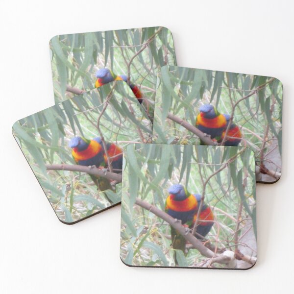Item preview, Rainbow Lorikeets designed and sold by Claire L Page Photography.