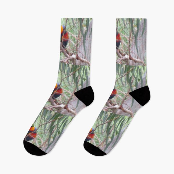 Item preview, Rainbow Lorikeets designed and sold by Claire L Page Photography.