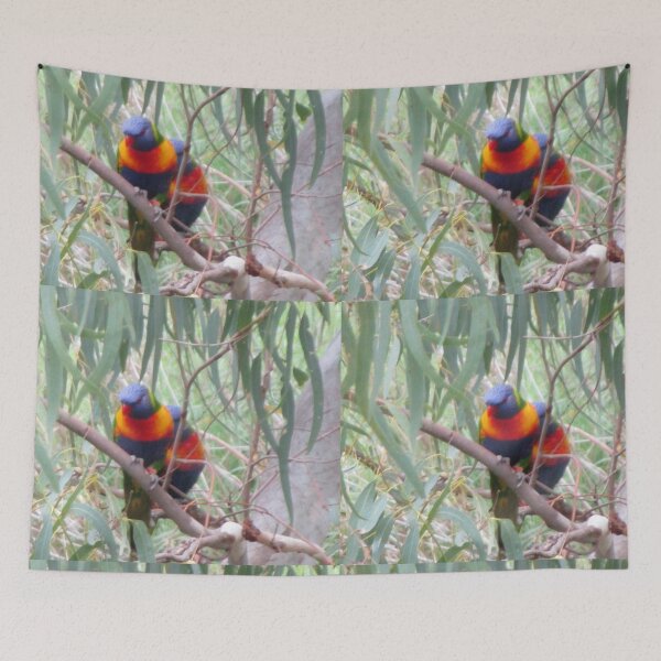 Item preview, Rainbow Lorikeets designed and sold by Claire L Page Photography.