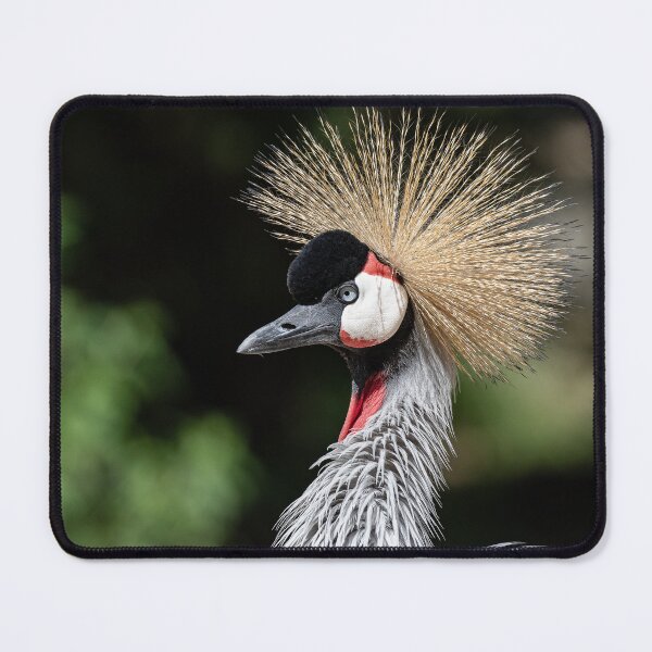 Item preview, African Crowned Crane. designed and sold by MartinWood.