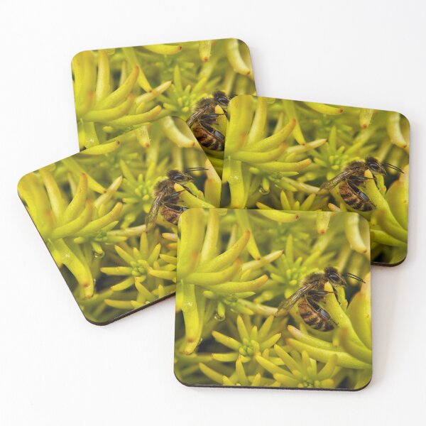 Item preview, Honeybee on yellow sedum  designed and sold by Katrina Valuyeva.