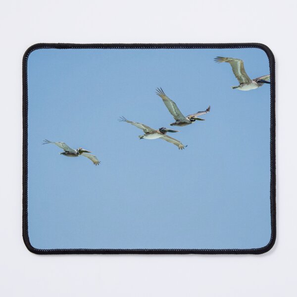 Item preview, Pelicans In Flight designed and sold by TinyDinoDesigns.