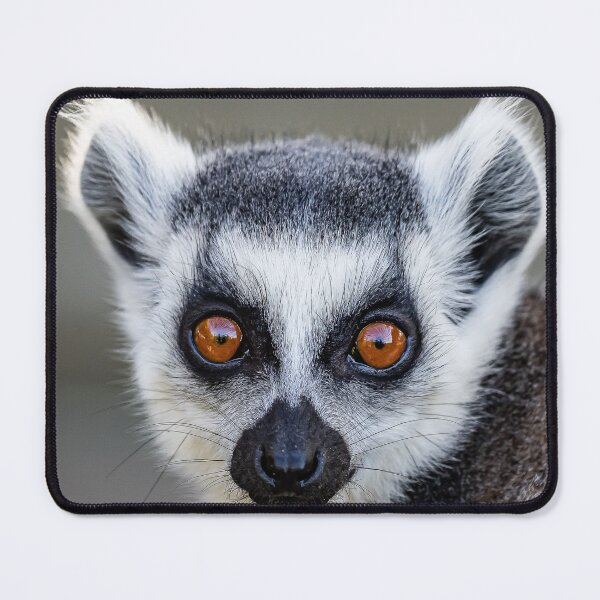 Item preview, Ring Tailed Lemur portrait designed and sold by MartinWood.
