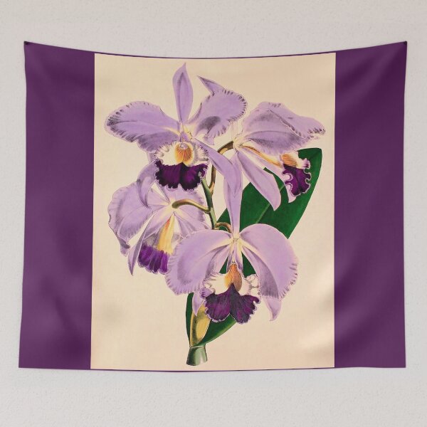 Item preview, Orchids Vintage ~ Circa 1857-1862 designed and sold by dholland57.
