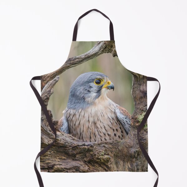 Item preview, COMMON KESTREL designed and sold by Steve Liptrot Photography.