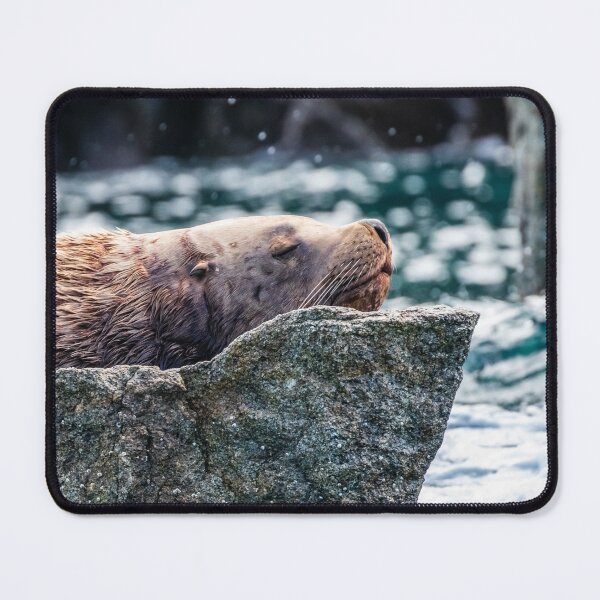 Item preview, Sea Lion in Resurrection Bay, Alaska designed and sold by Lyl Dil Creations.