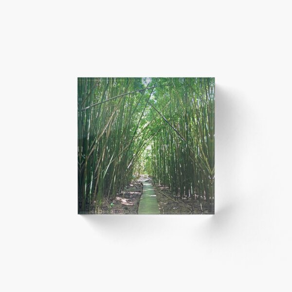 Item preview, Maui Bamboo Forest : Maui, Hawaii designed and sold by CommandoCrane.