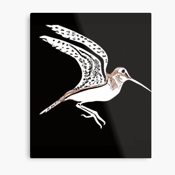 Snipe Signed Print, Bird Drawing, Wildlife Animal Art, Wild Bird Art,  Hunting Gift, Wildlife, Hunting Art, Art Print Gift Bird, Bird Art 