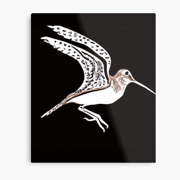 Snipe Metal Prints for Sale