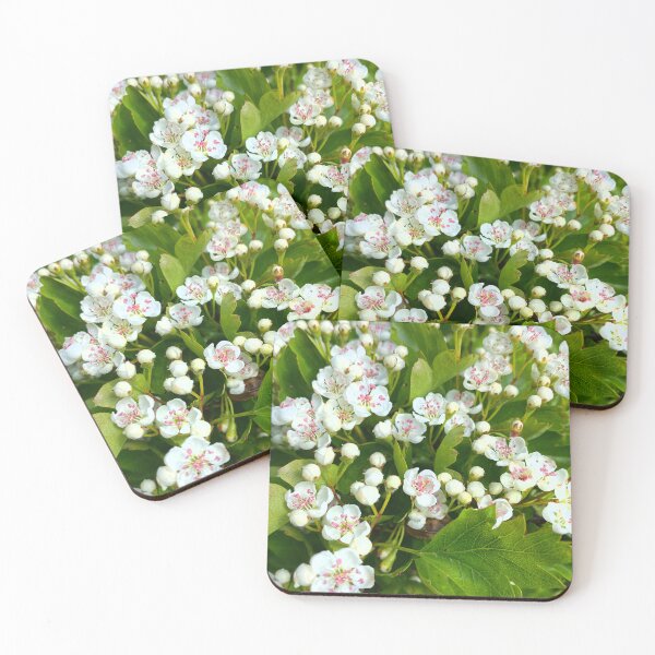 Item preview, May Blossom in Spring Sunshine designed and sold by Violaman.