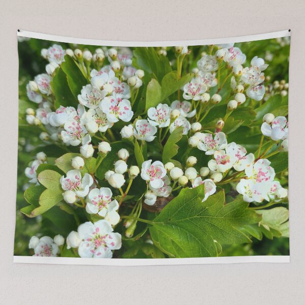Item preview, May Blossom in Spring Sunshine designed and sold by Violaman.