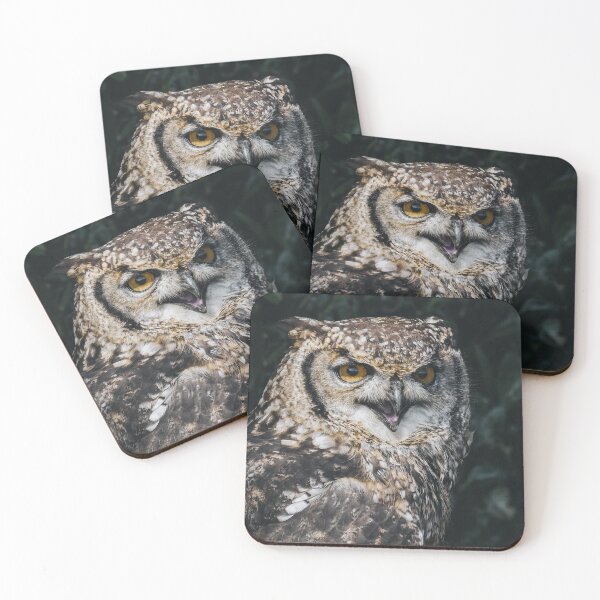 Item preview, Owl designed and sold by photobytableau.