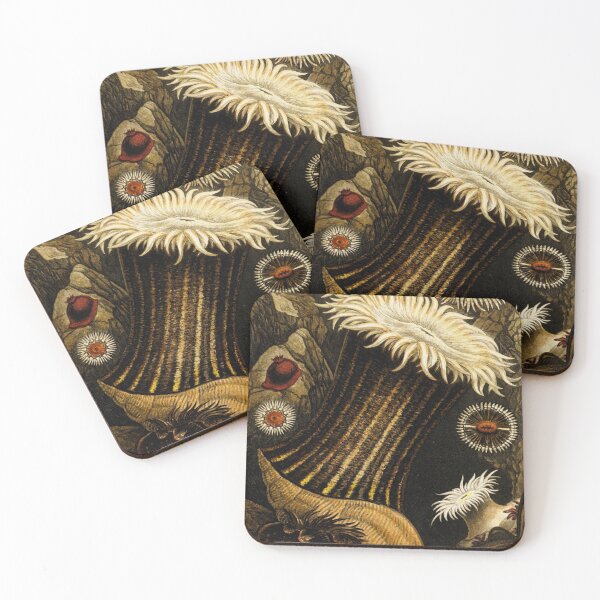 Item preview, Sea anemones illustration from Actinologia britannica designed and sold by Lacasadellora.
