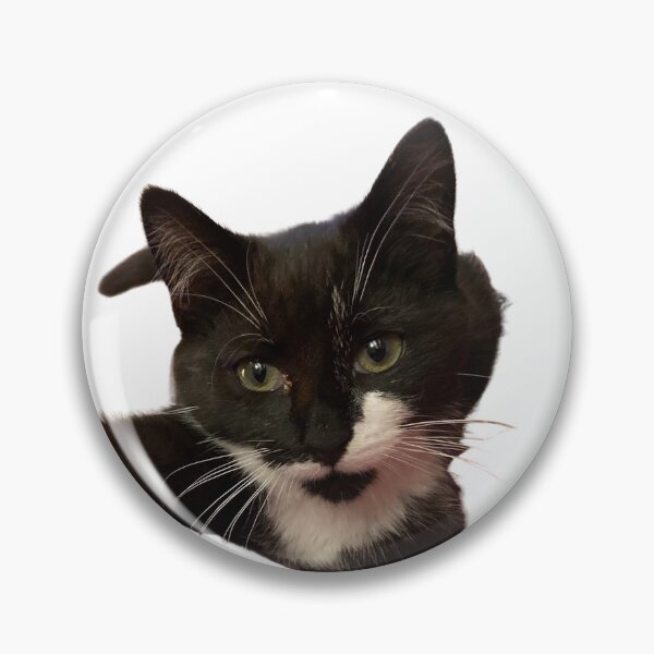 Item preview, Zelda the Tuxedo Kitten  designed and sold by Cefercom.
