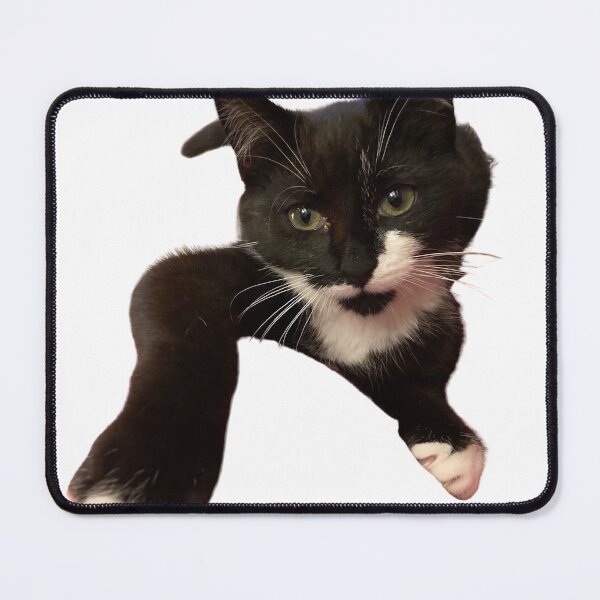 Item preview, Zelda the Tuxedo Kitten  designed and sold by Cefercom.
