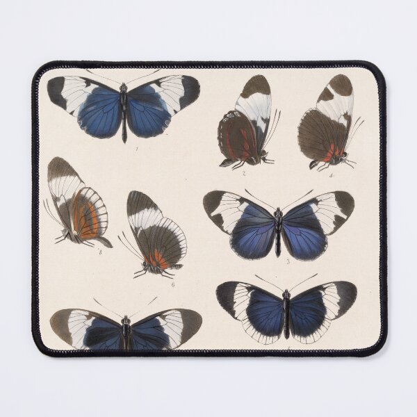 Item preview, Butterflies vintage artwork designed and sold by Lacasadellora.
