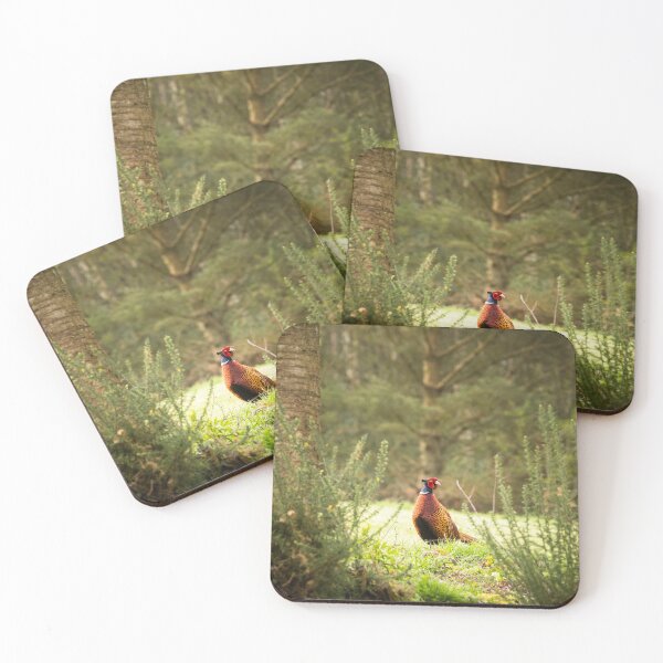 Item preview, Pheasant designed and sold by Jane Stanley Photography.
