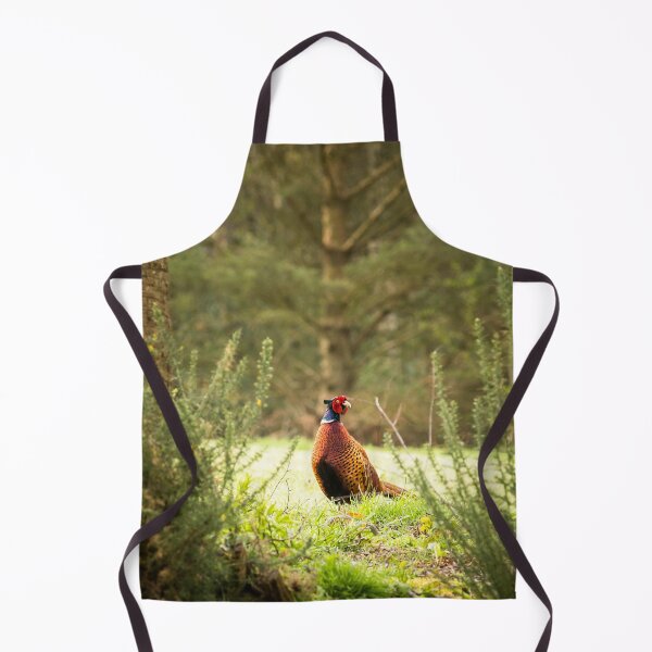 Item preview, Pheasant designed and sold by Jane Stanley Photography.