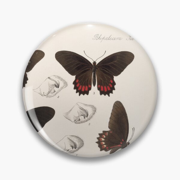 Item preview, Butterflies vintage illustration designed and sold by Lacasadellora.