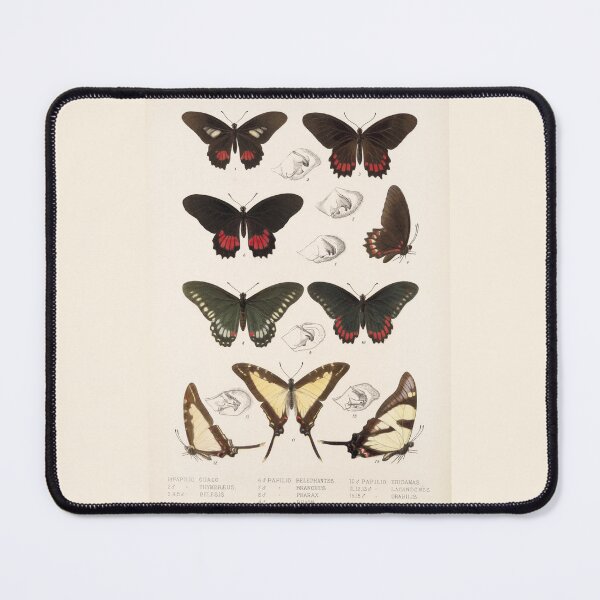 Item preview, Butterflies vintage illustration designed and sold by Lacasadellora.