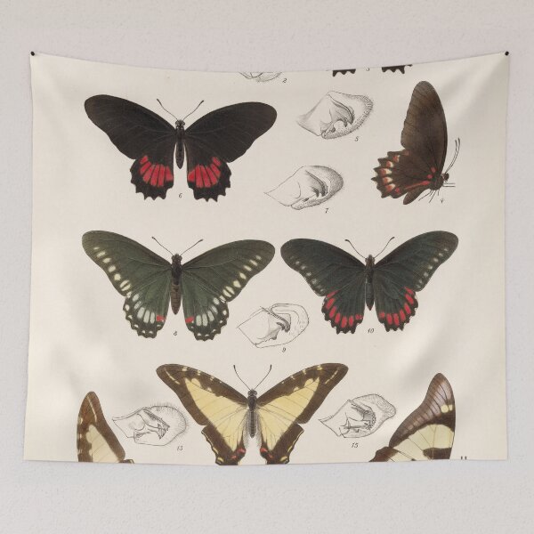 Item preview, Butterflies vintage illustration designed and sold by Lacasadellora.