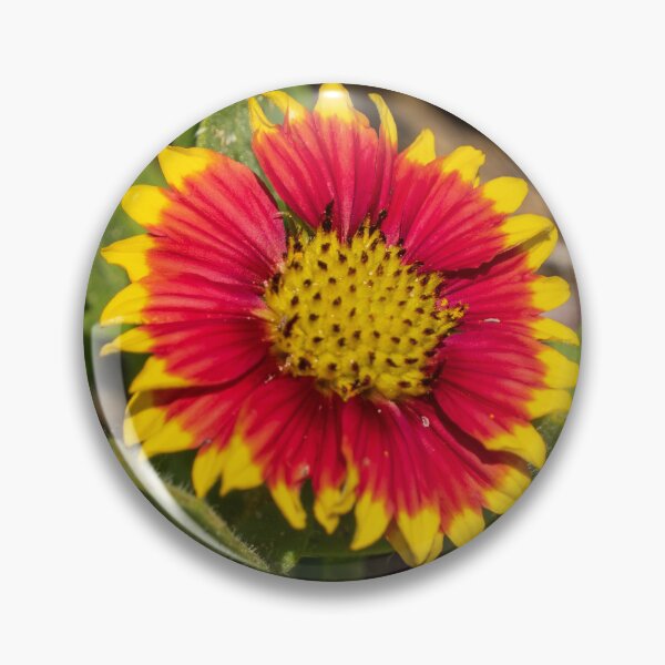 Item preview, Firewheel Flower designed and sold by TinyDinoDesigns.
