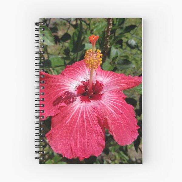 Item preview, Azaleas  designed and sold by PAM4HIM2.