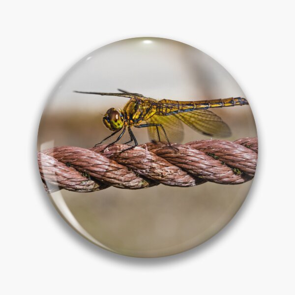 Item preview, Golden Dragonfly designed and sold by Lyl Dil Creations.