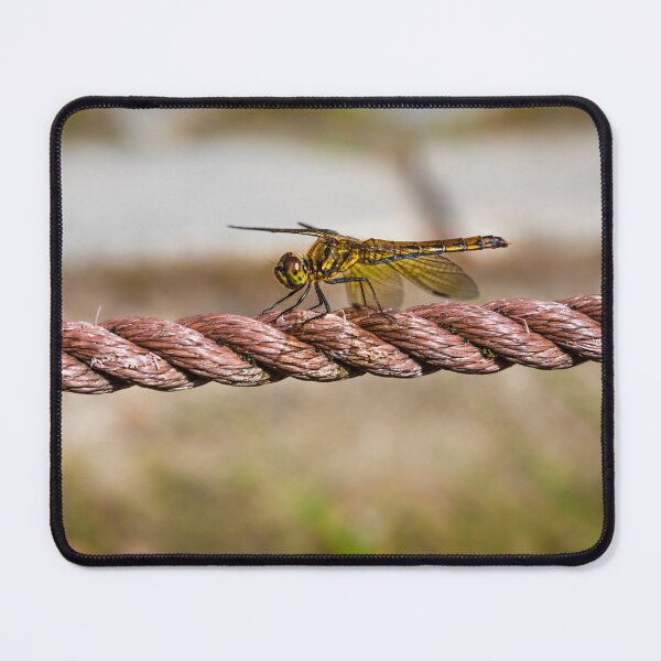 Item preview, Golden Dragonfly designed and sold by Lyl Dil Creations.