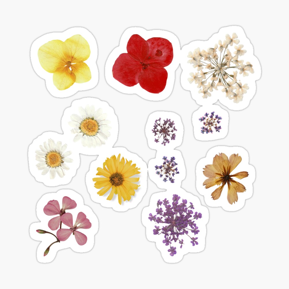Flower Stickers Rose Leaf Floral Plants Themed Decorative Stickers