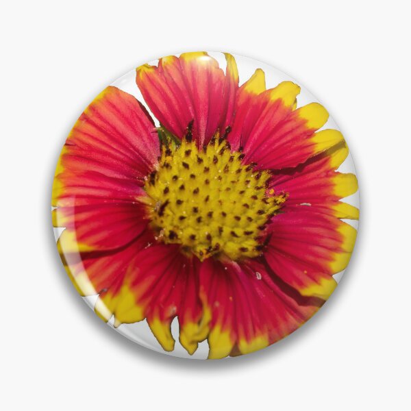 Item preview, Firewheel Flower Cutout designed and sold by TinyDinoDesigns.