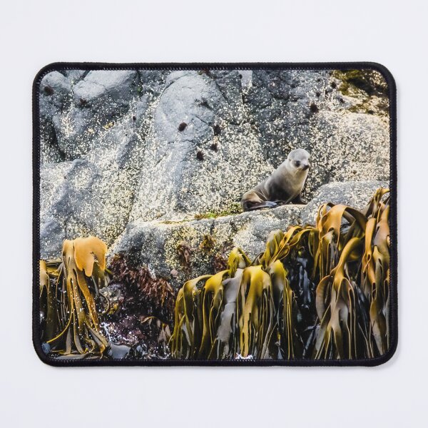 Item preview, Young fur seal on the rock designed and sold by Lyl Dil Creations.